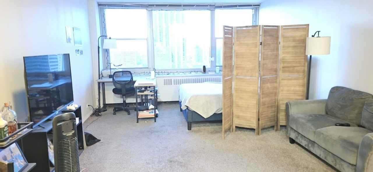 555 W Cornelia Ave Apt 2003 - Photo 3 of 19