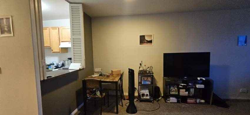 555 W Cornelia Ave Apt 2003 - Photo 4 of 19