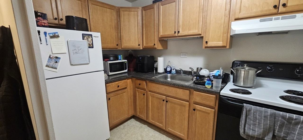 555 W Cornelia Ave Apt 2003 - Photo 7 of 19