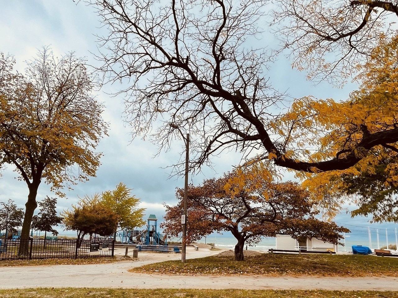 1335 W Lunt Ave Apt 2j - Photo 2 of 15