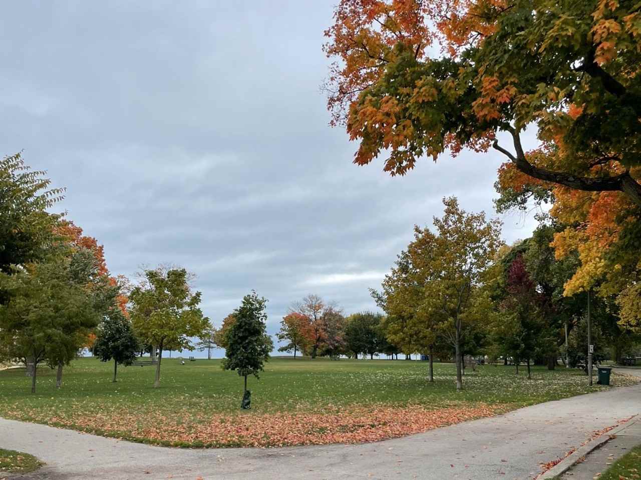 1335 W Lunt Ave Apt 2j - Photo 3 of 15