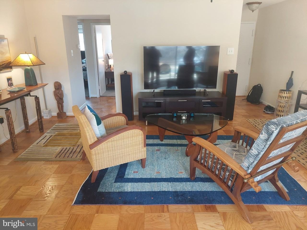 10208 Rockville Pike Apt 302 - Photo 4 of 22