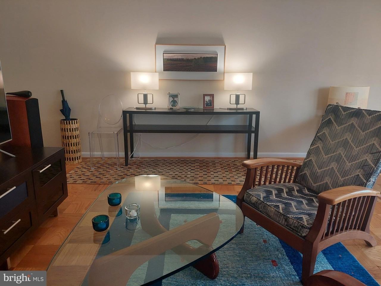 10208 Rockville Pike Apt 302 - Photo 7 of 22