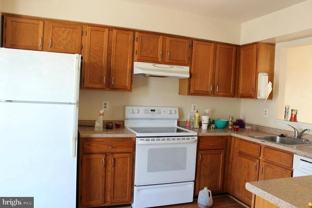 10503 Oronoco Ln - Photo 1 of 1