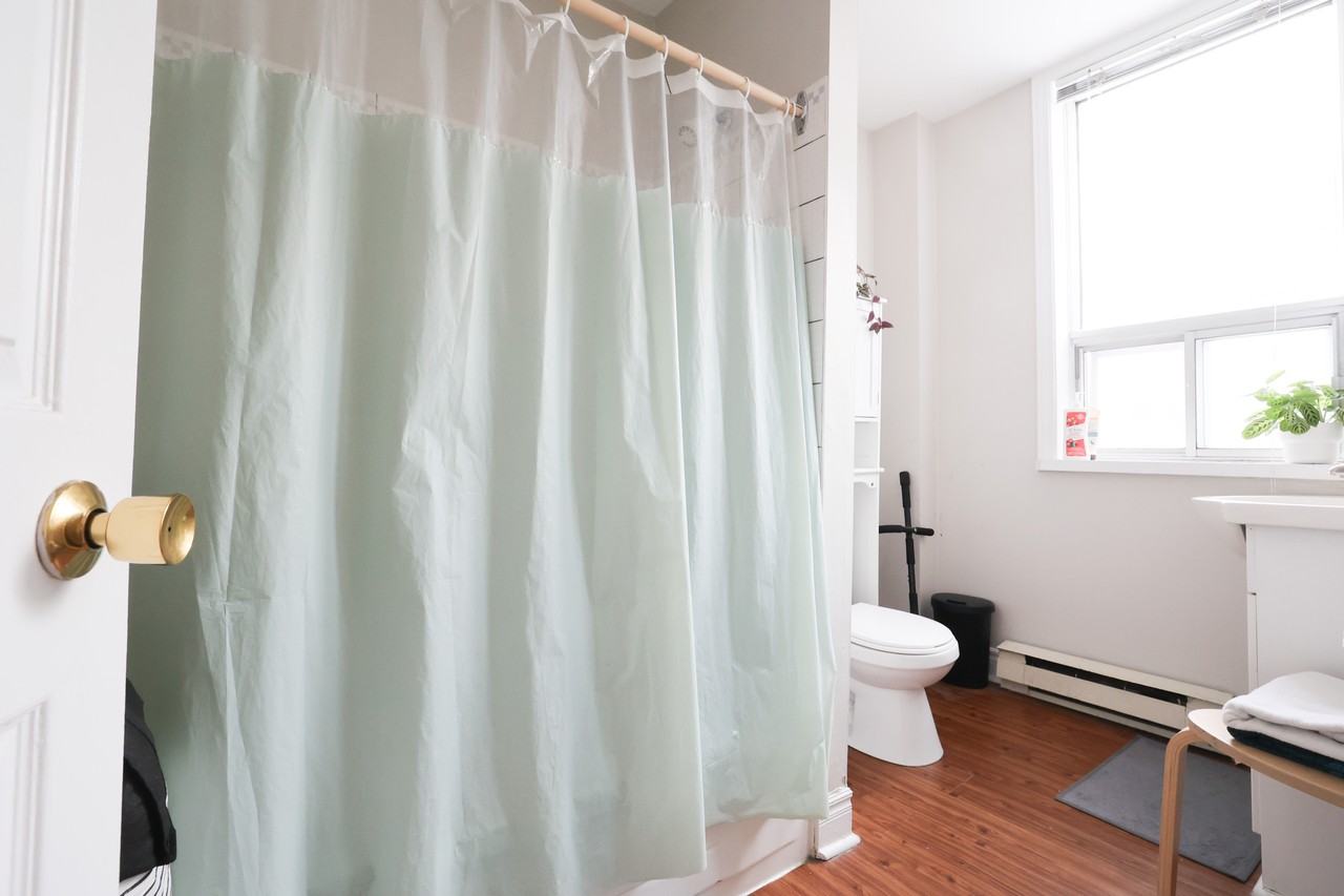 385 Waverley Street #3 - Photo 6 of 6