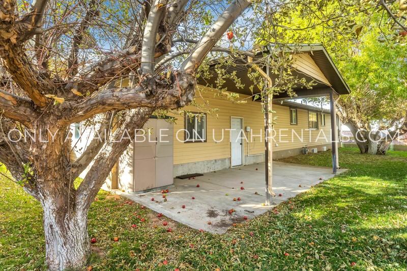 905 En - Photo 5 of 19