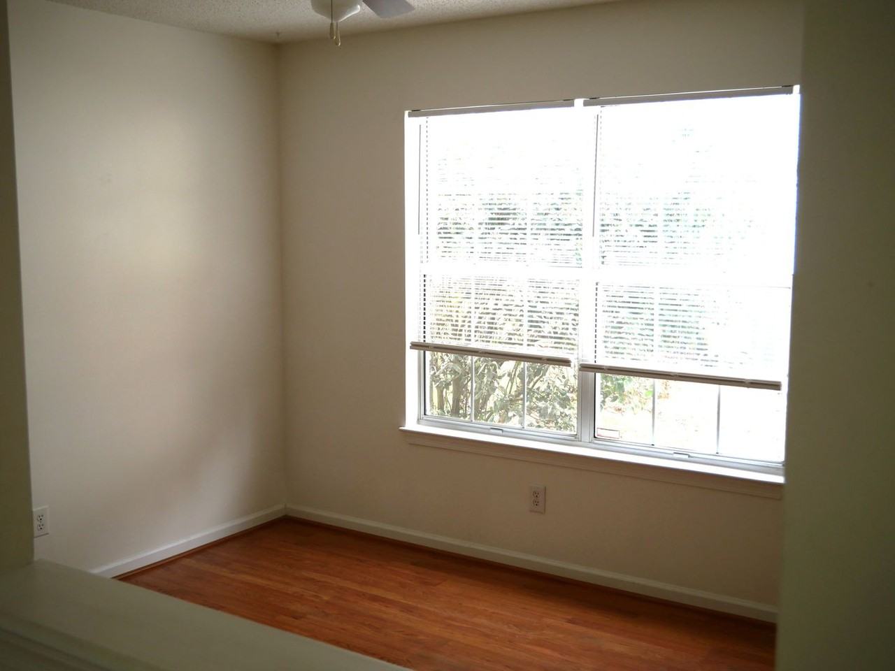 113 Amelia Ct - Photo 4 of 27