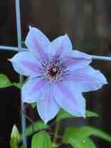 The Vineyards on Gaarde - Photo 1 of 1