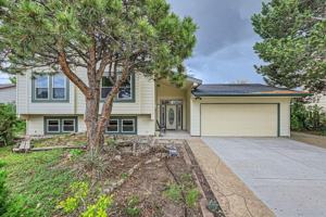 featured image of 7649 Safari Cir
