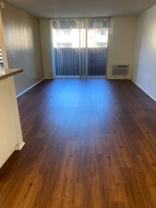 Monterey Pines - Photo 1 of 1