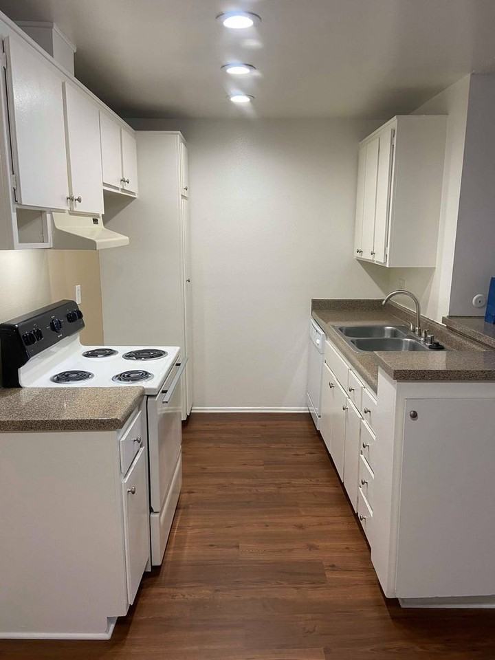 Monterey Pines - Photo 3 of 23