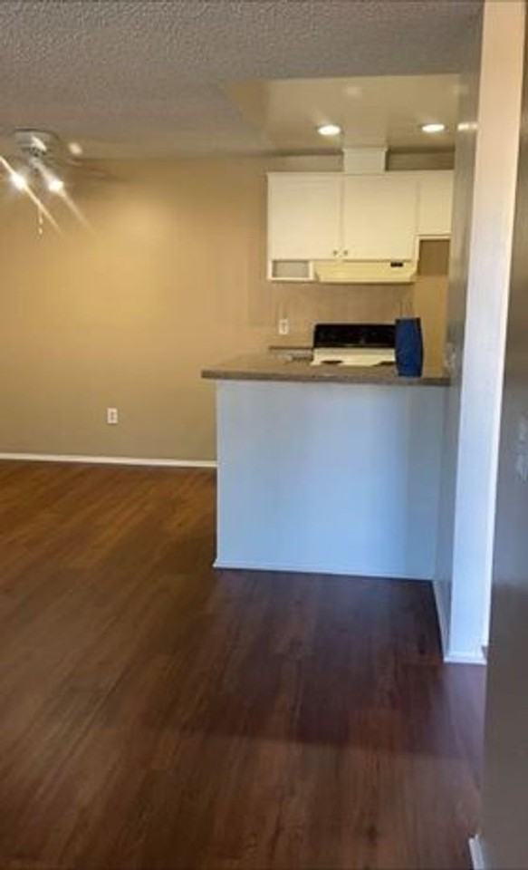 Monterey Pines - Photo 5 of 23