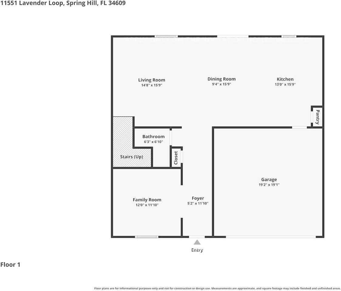 11551 Lavender Loop - Photo 2 of 18