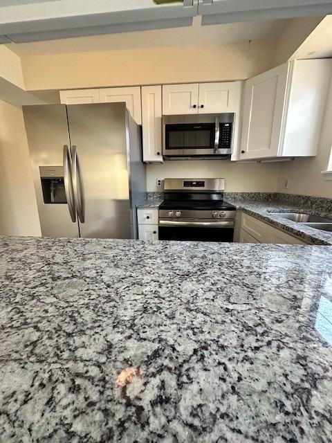 1704 Minnows Ct #1 - Photo 4 of 18