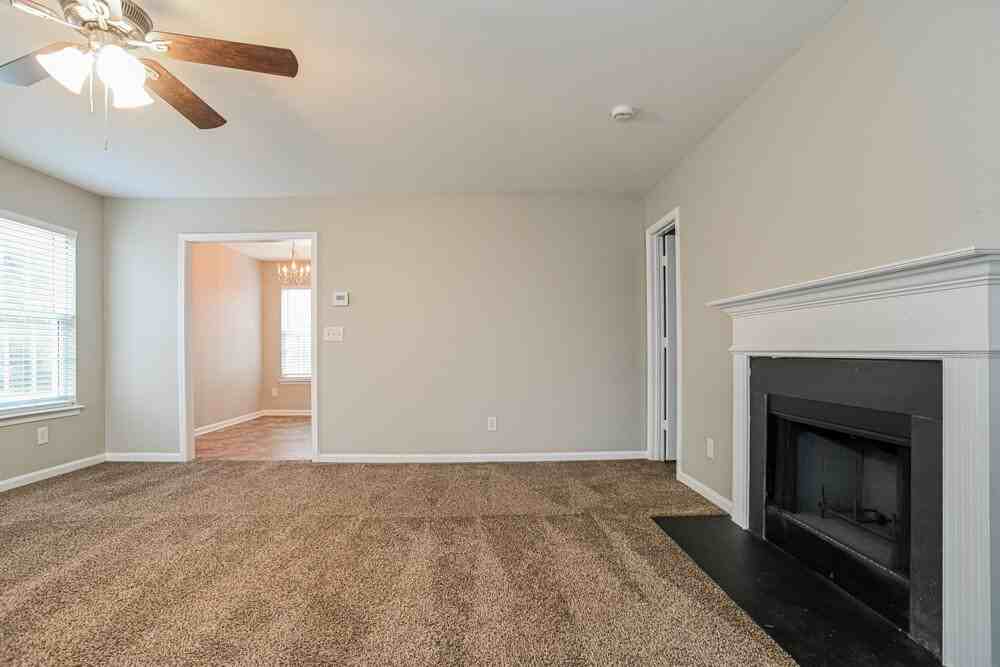 933 Grass Hollow Ct - Photo 4 of 17