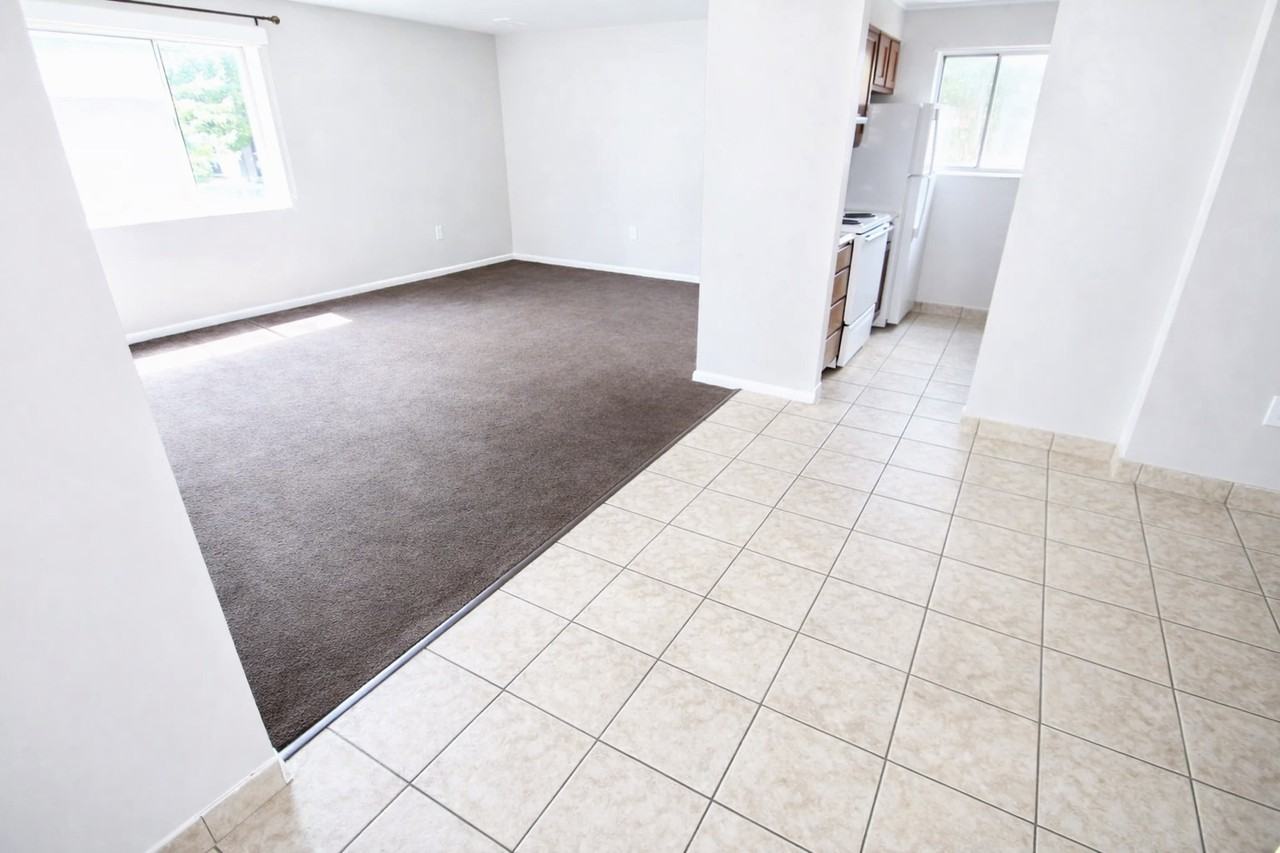 140 WEST WALNUT STREETAPT 935 #935 - Photo 4 of 12