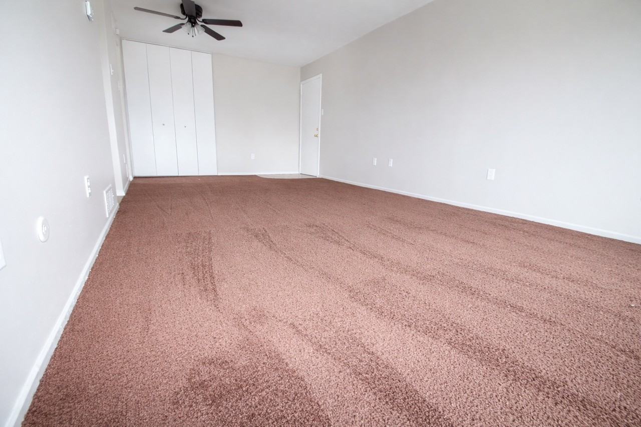 235 WEST CHESTNUT STREETAPT 705 #705 - Photo 3 of 8