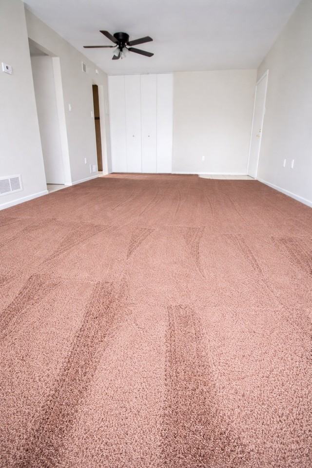 235 WEST CHESTNUT STREETAPT 705 #705 - Photo 4 of 8