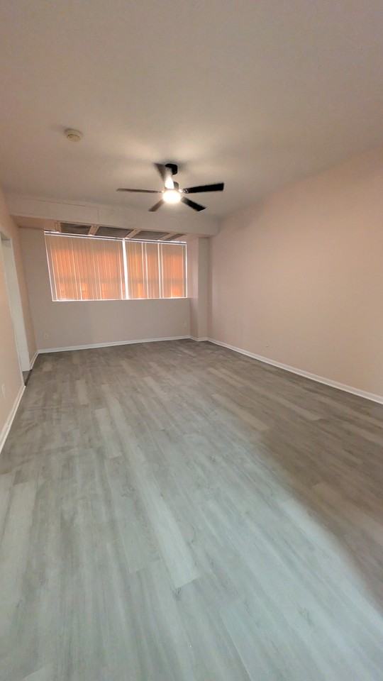 5459 South Everett AvenueGarden - Photo 5 of 9