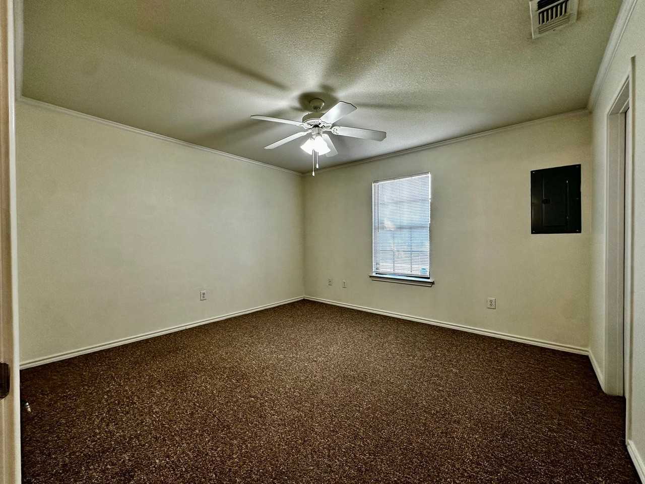 Spacious 1 - Photo 6 of 27