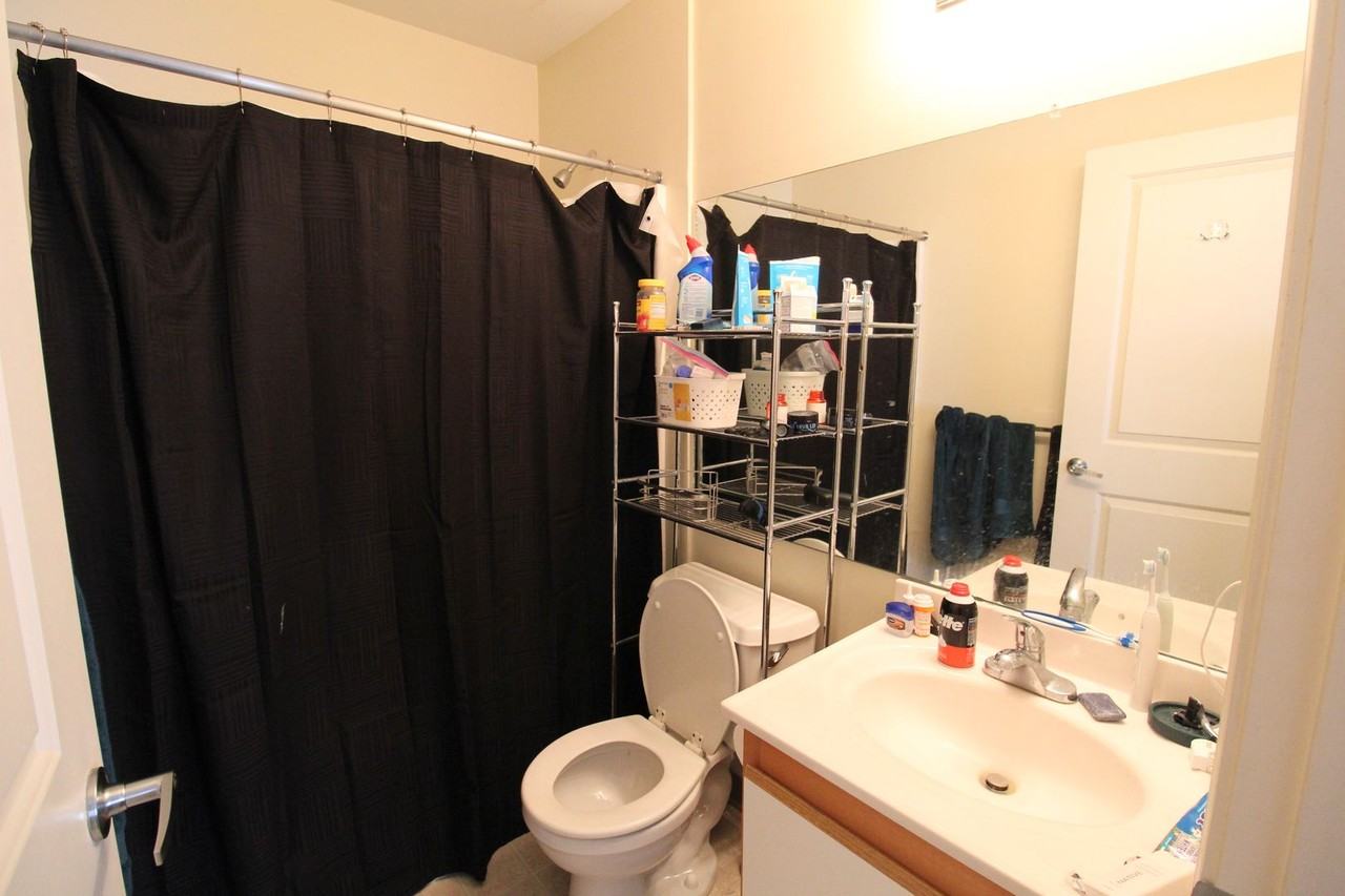 2455 Campus View Cir #202 - Photo 6 of 11