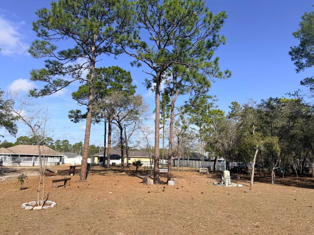 12253 Island Shrike Rd - Photo 6 of 19