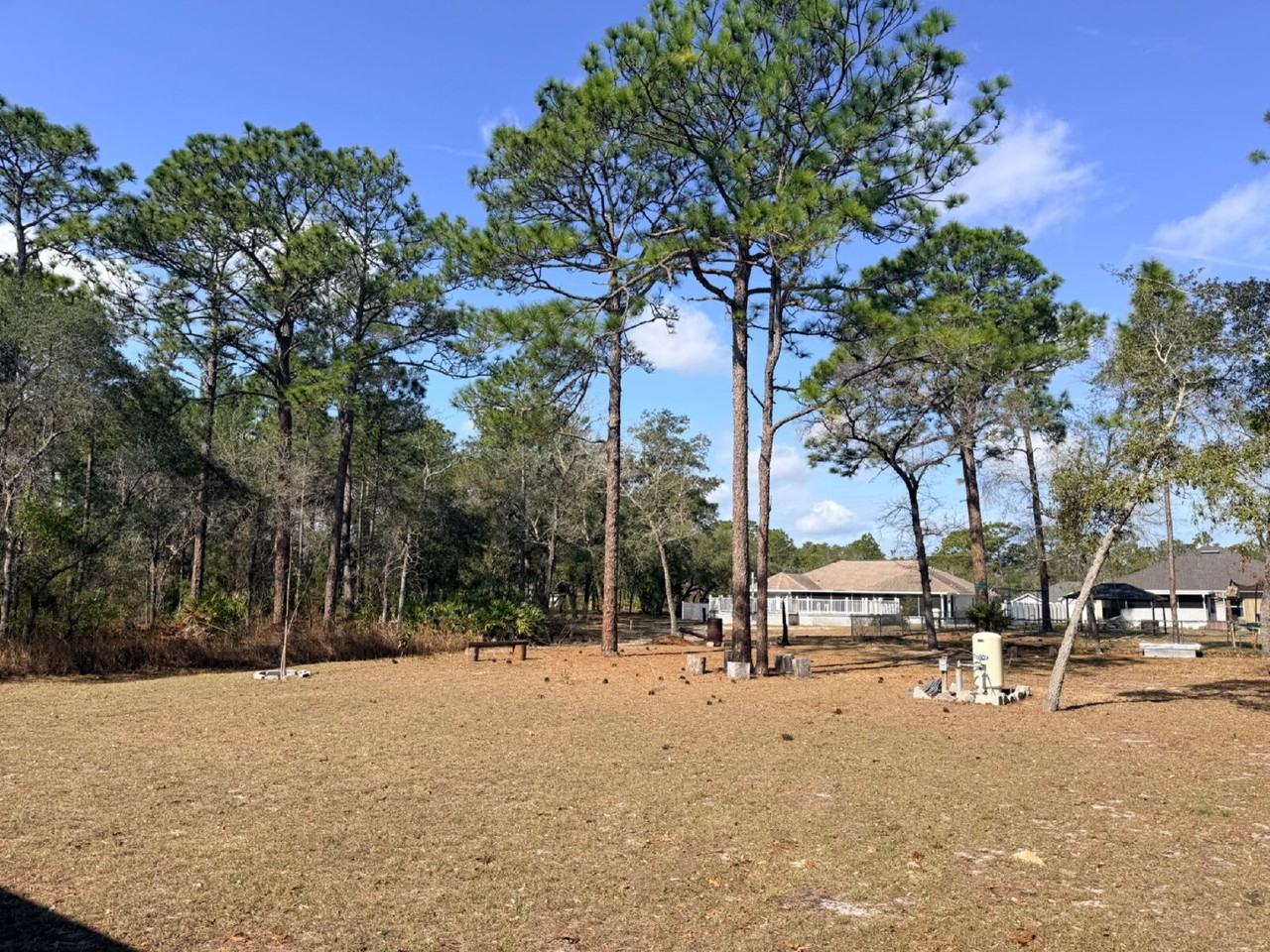 12253 Island Shrike Rd - Photo 7 of 19