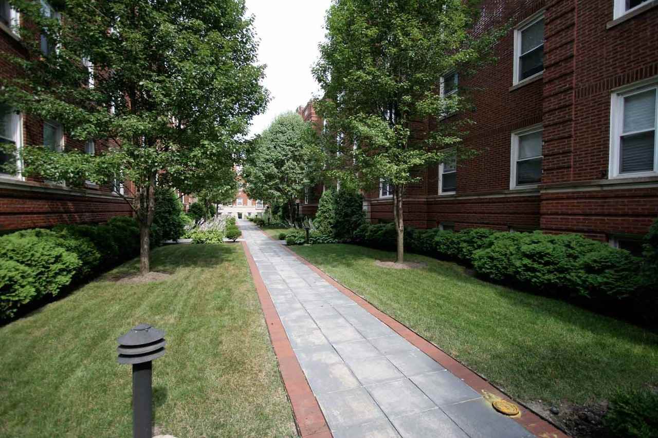 4721 S. Ellis Avenue - Photo 6 of 50