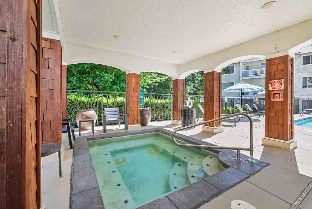 Salmon Run at Perry Creek - Photo 4 of 37