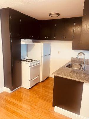 Garland - Photo 2 of 6