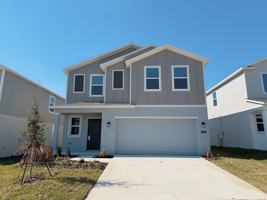 featured image of 2162 Lasso Loop #1