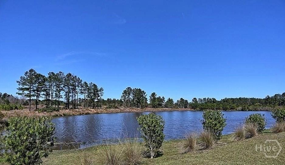 230 Lake Lily Dr - Photo 6 of 6