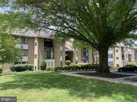 featured image of 5482 Cedar Ln