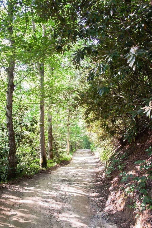 251 Landwood Ln - Photo 4 of 45