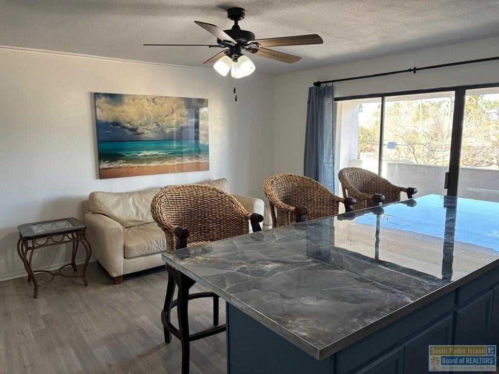 829 N Yturria St - Photo 4 of 12