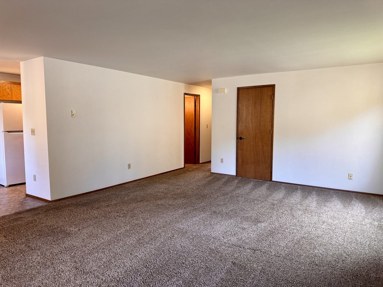 1125 N 13Th St - Photo 3 of 17