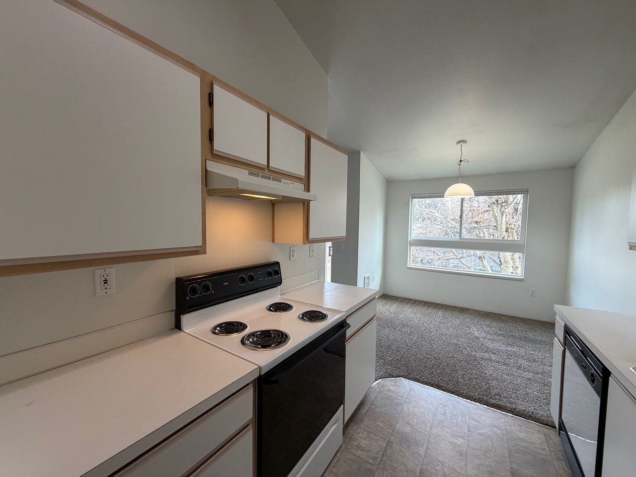 4783 Skyline Road South - Photo 3 of 30