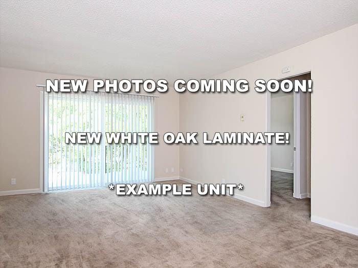 415 415 - 425 S Bernardo Avenue #425-106 - Photo 3 of 9