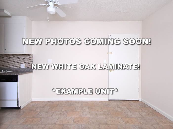 415 415 - 425 S Bernardo Avenue #425-106 - Photo 4 of 9