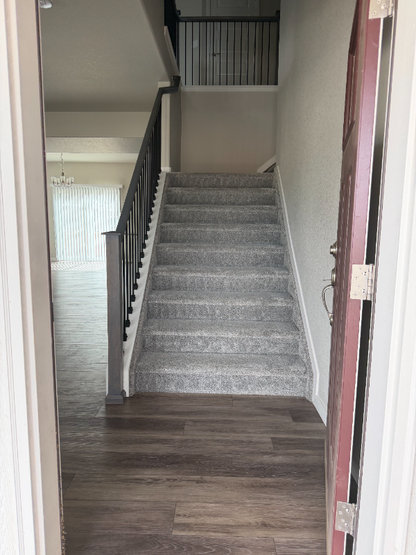 1225 Lily Mountain Rd - Photo 2 of 29