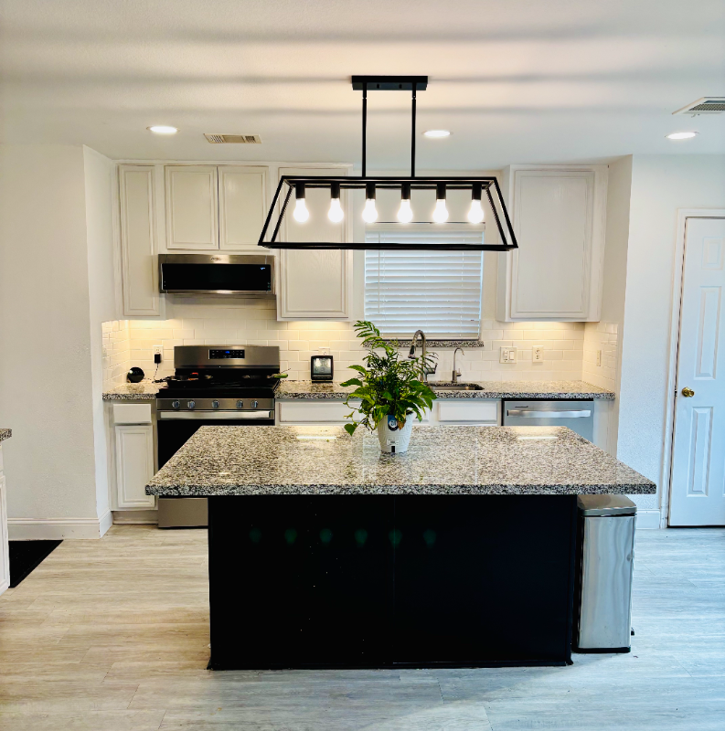 3739 Brighton Springs Ln - Photo 3 of 11