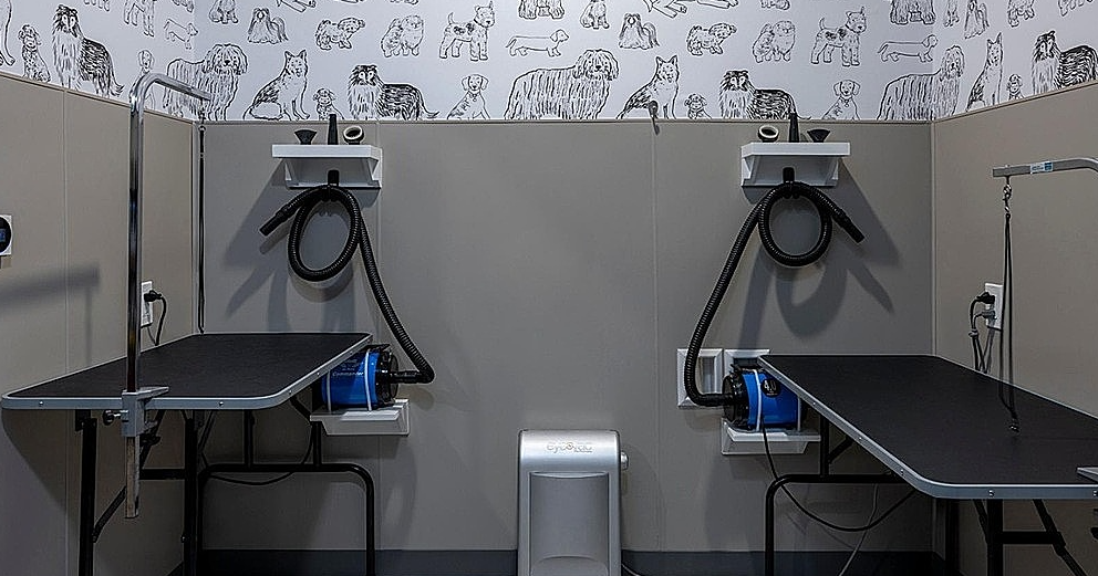 930 Ridgeview Drive #4480.41 - Photo 3 of 9