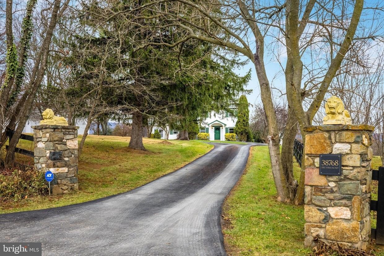 38768 Fry Farm Rd #NA - Photo 3 of 44