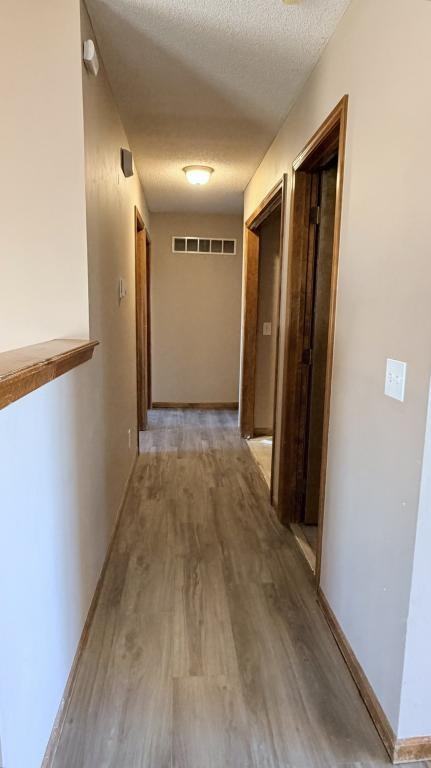 2213 Larkspur St - Photo 6 of 13