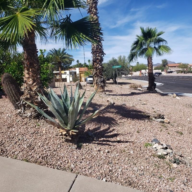14612 N Saguaro Blvd #A - Photo 7 of 26