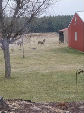 N9362 7th Ave - Photo 4 of 31