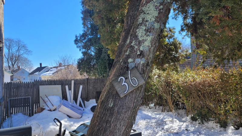 36 Prest St - Photo 2 of 11