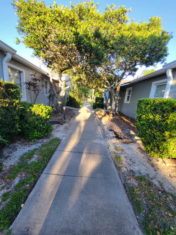 105 Dorchester Sq - Photo 3 of 19