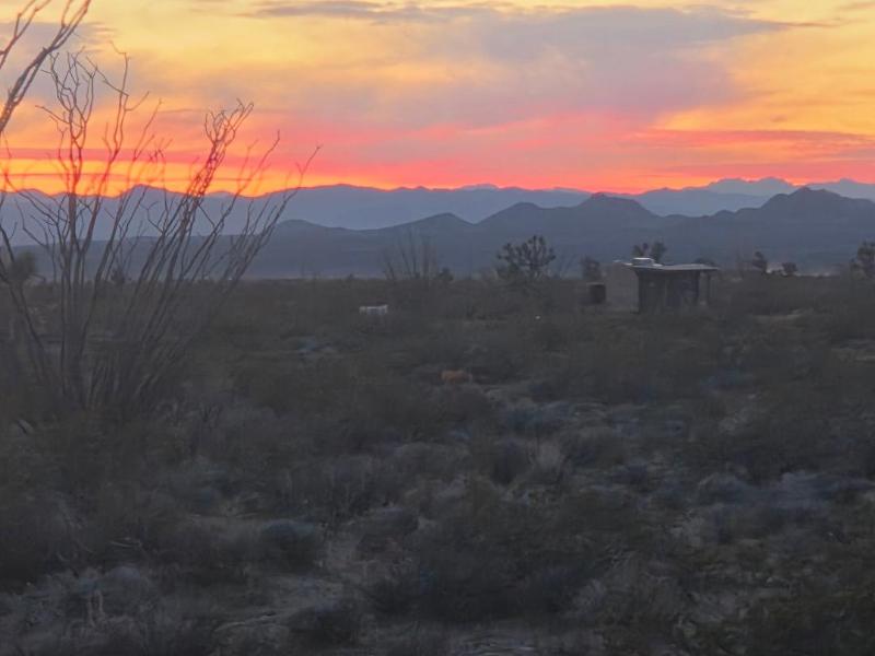 15231 S Wild Bill Rd #A - Photo 2 of 20