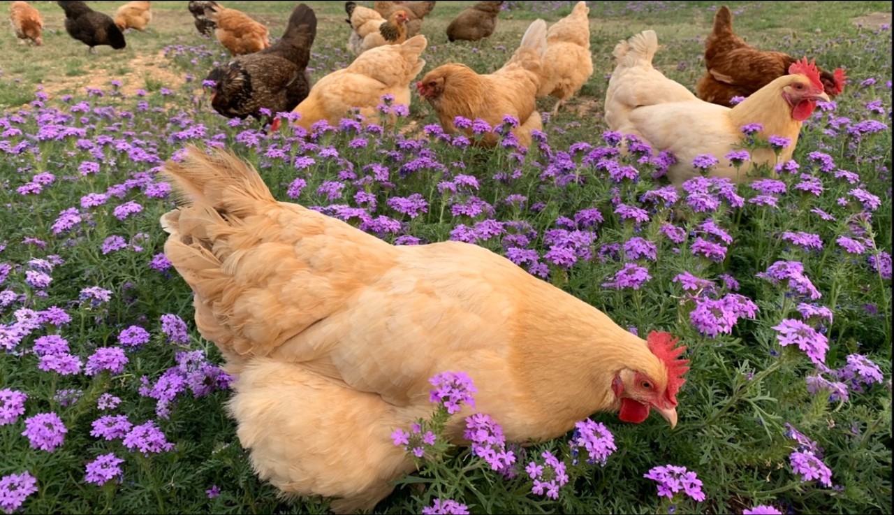 143 River Ranch Rd #NA - Photo 3 of 12